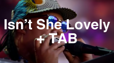 Isn’t She Lovely Guitar Lesson + TAB